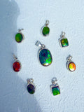 Ammolite Pendant
