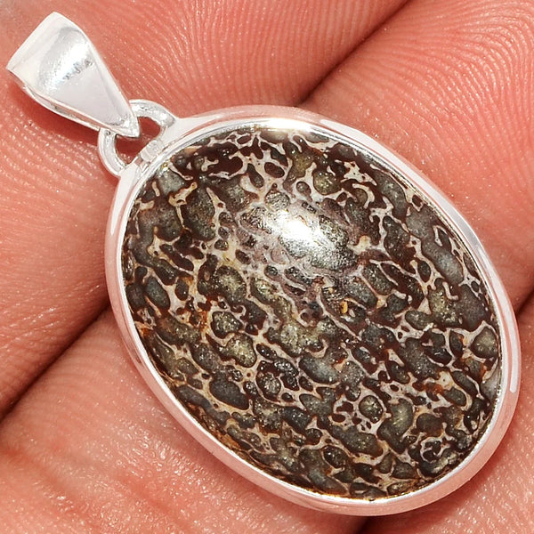 Dinosaur Bone Pendant
