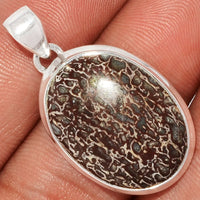 Dinosaur Bone Pendant
